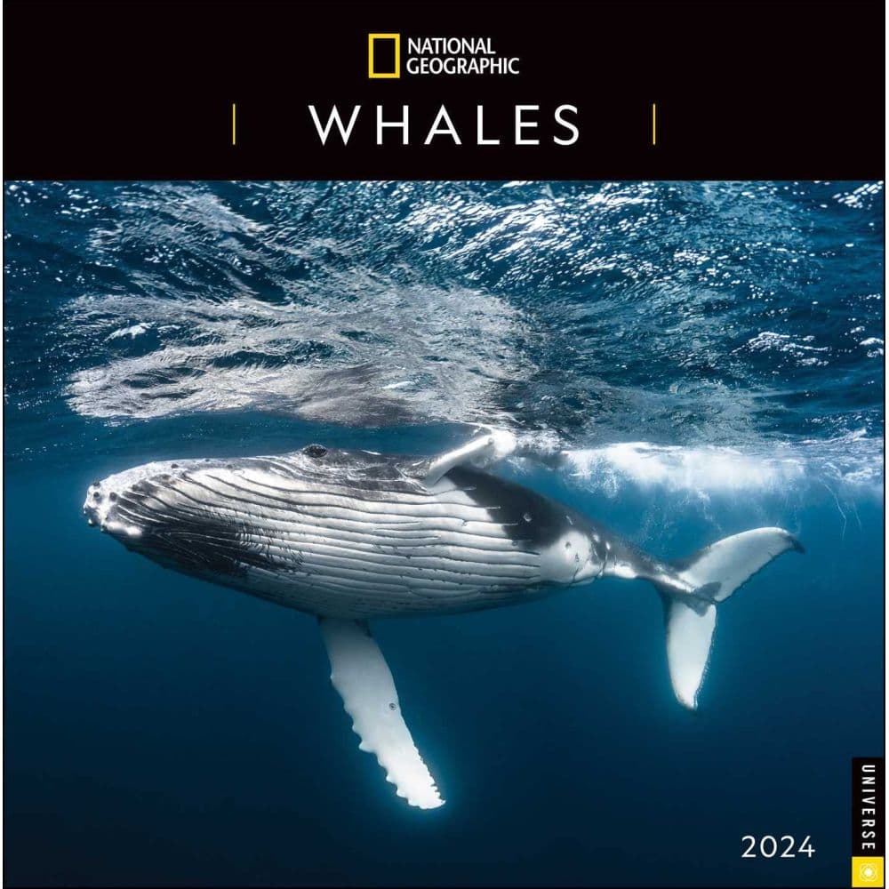 National Geographic Whales 2025 Wall Calendar