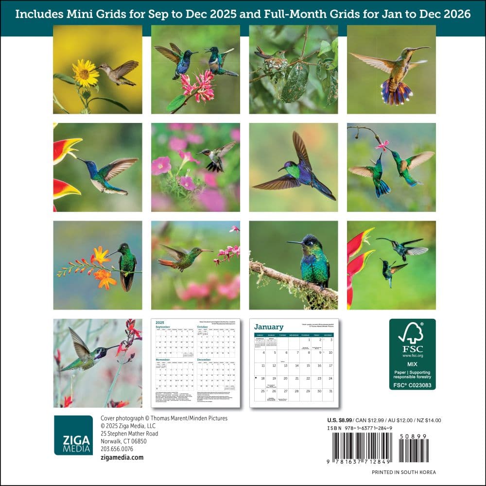 Hummingbirds 2026 Mini Wall Calendar First alternate image