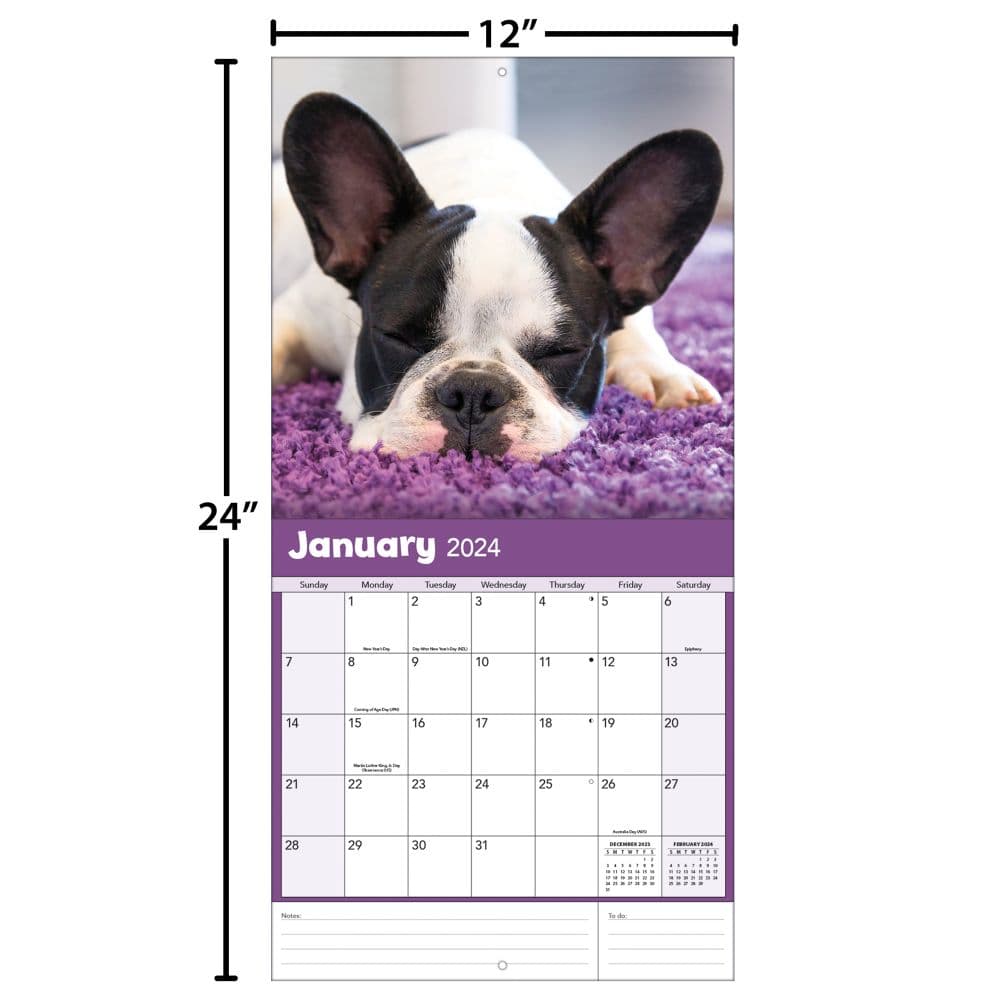 Bulldogs 2024 Wall Calendar