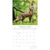 image Foxes 2026 Wall Calendar Third Alternate Image