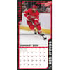 image NHL Detroit Red Wings 2025 Mini Wall Calendar