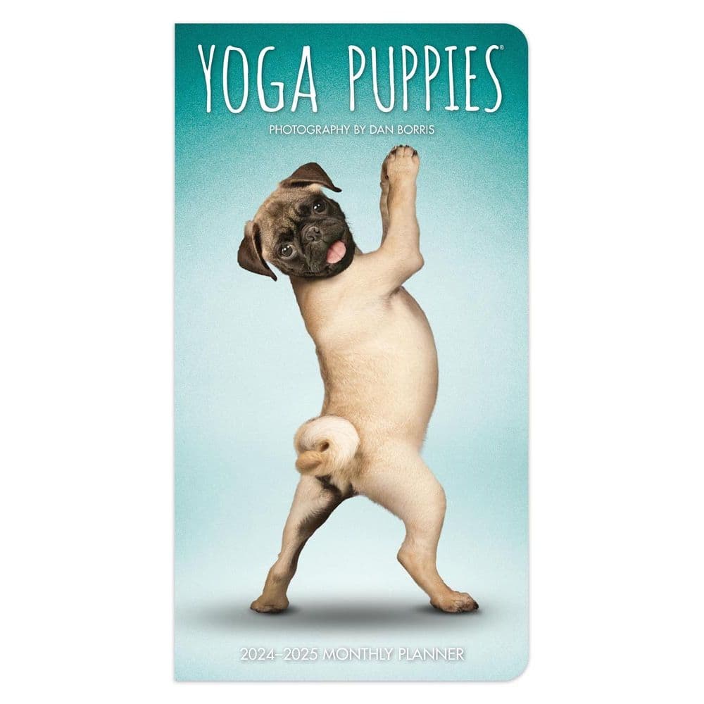 Yoga Puppies 2 Year Pocket 2024 Planner Main Product Image width=&quot;1000&quot; height=&quot;1000&quot;