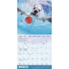 image Underwater Dogs 2024 Wall Calendar Alternate Image 2