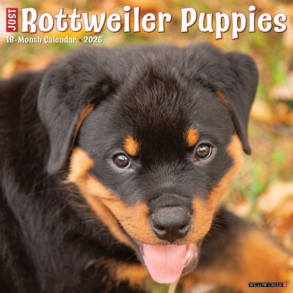 Just Rottweiler Puppies 2026 Wall Calendar Main Image