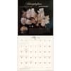image Miraculous Mushroom 2025 Wall Calendar Second Alternate Image