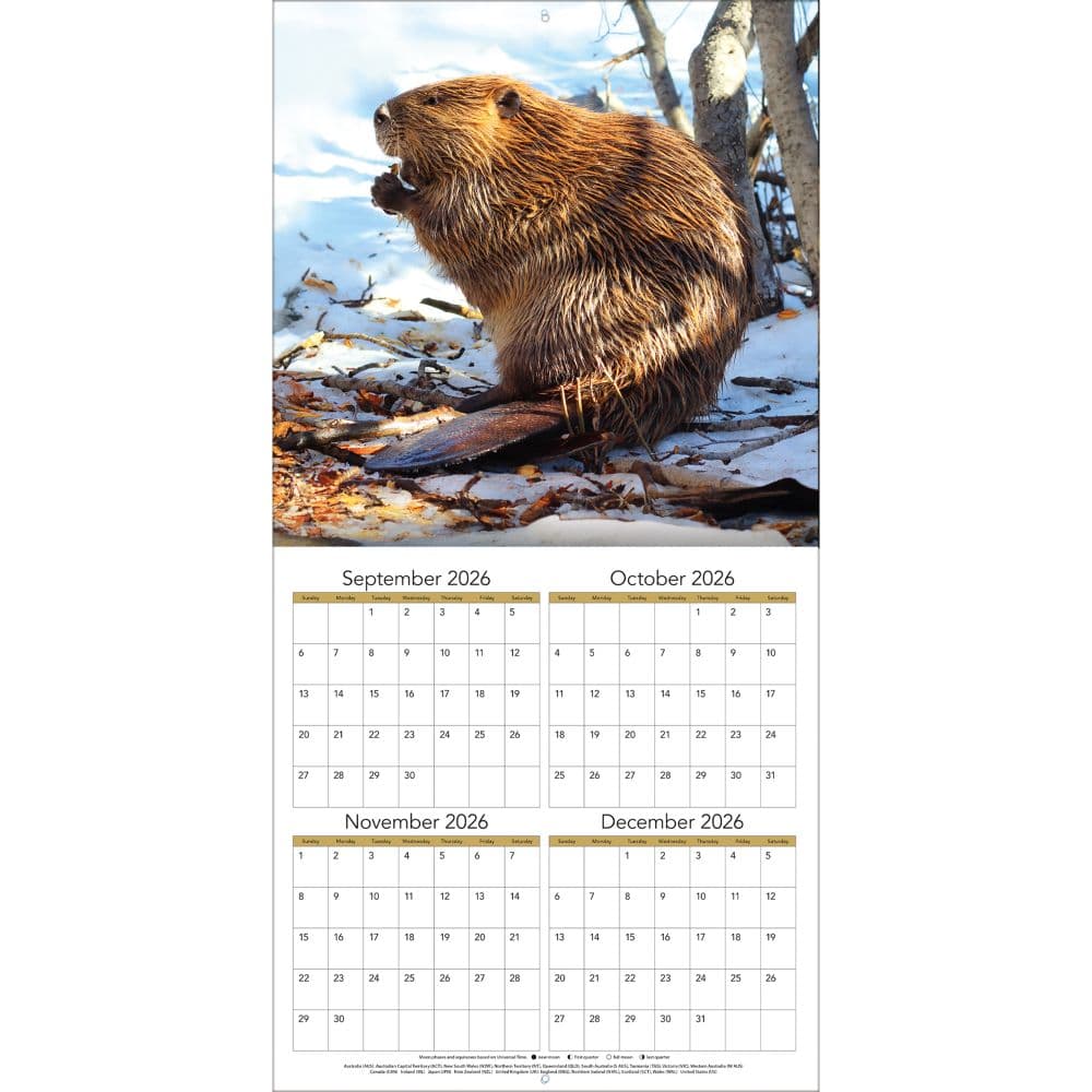 Wildlife 2027 Wall Calendar Second Alternate Image
