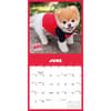 image Boo 2025 Wall Calendar Third Alternate Image width="1000" height="1000"