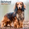 image Longhaired Dachshund 2027 Wall Calendar