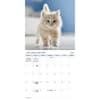 image Kittens Bilingual French and English 2025 Wall Calendar Alt2