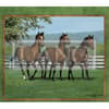 image Horses In The Mist 2024 Desktop Wallpaper