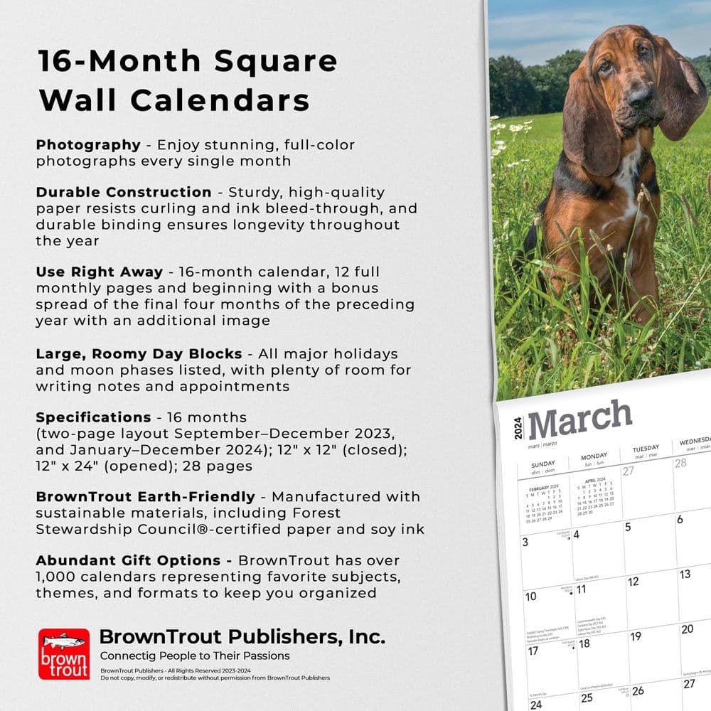Bloodhounds 2024 Wall Calendar