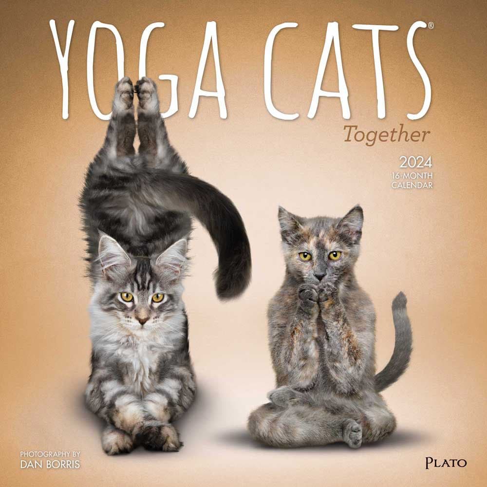 Yoga Cats Together 2024 Wall Calendar Main Product Image width=&quot;1000&quot; height=&quot;1000&quot;