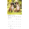 image Boxers 2026 Wall Calendar Second Alternate Image