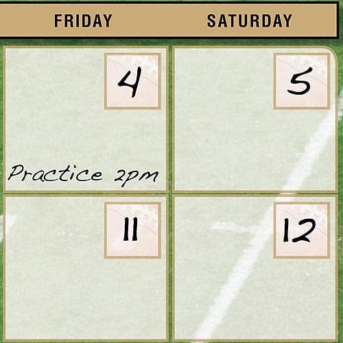 San Francisco 49ers Perpetual Calendar Alternate Image 1