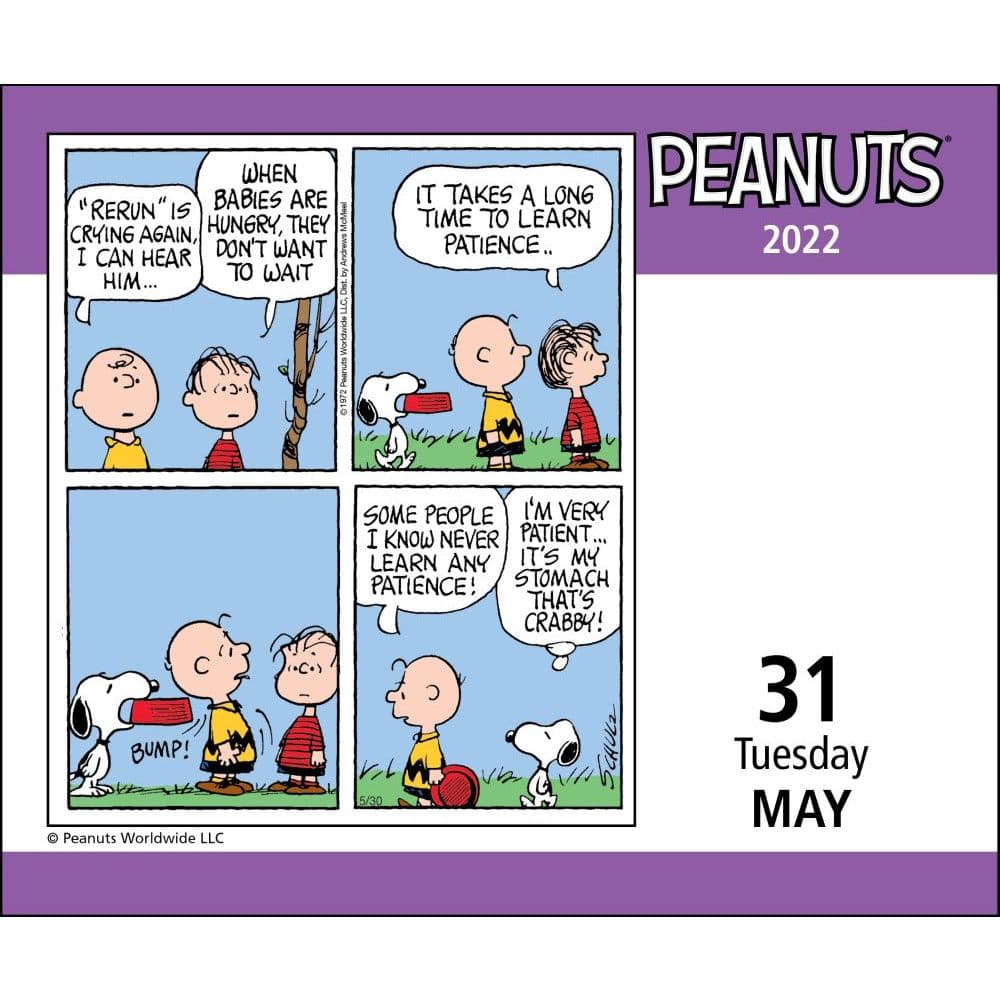 Peanuts 2022 Day-To-Day Calendar - Calendars.com