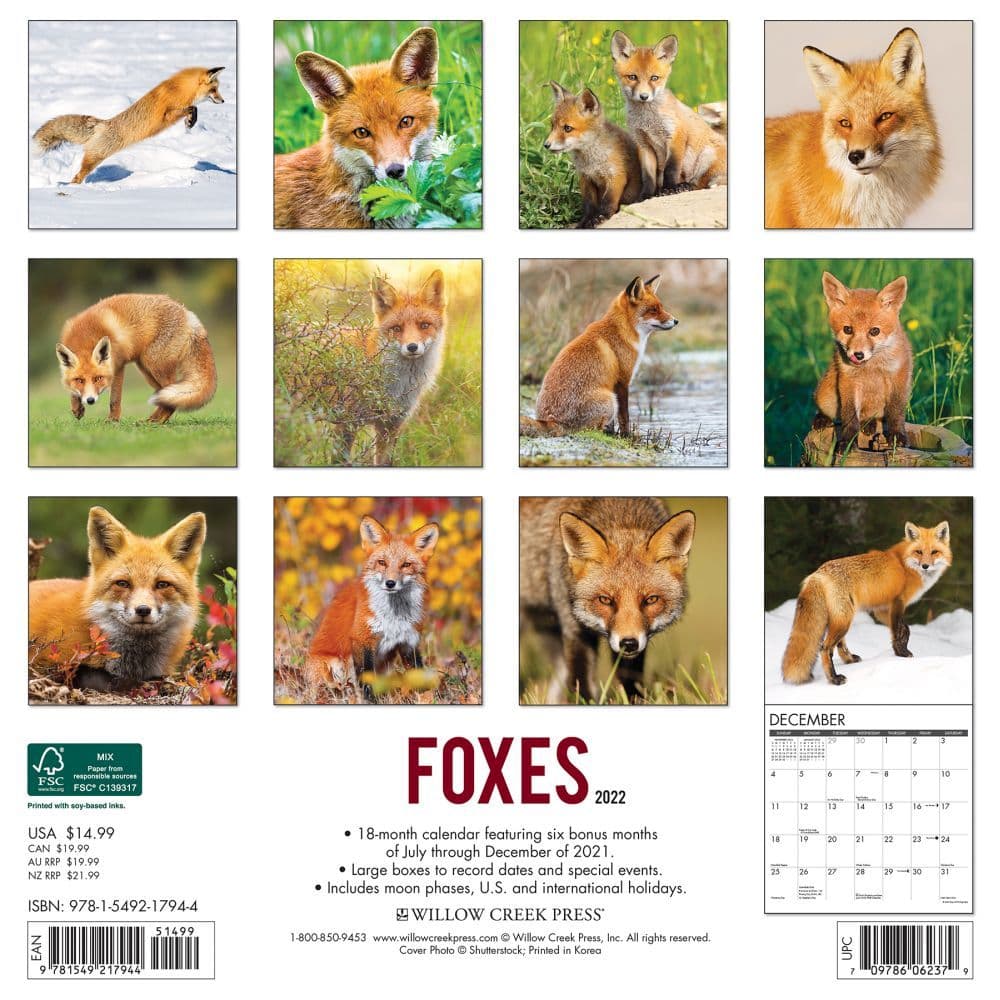 Foxes 2022 Wall Calendar - Calendars.com