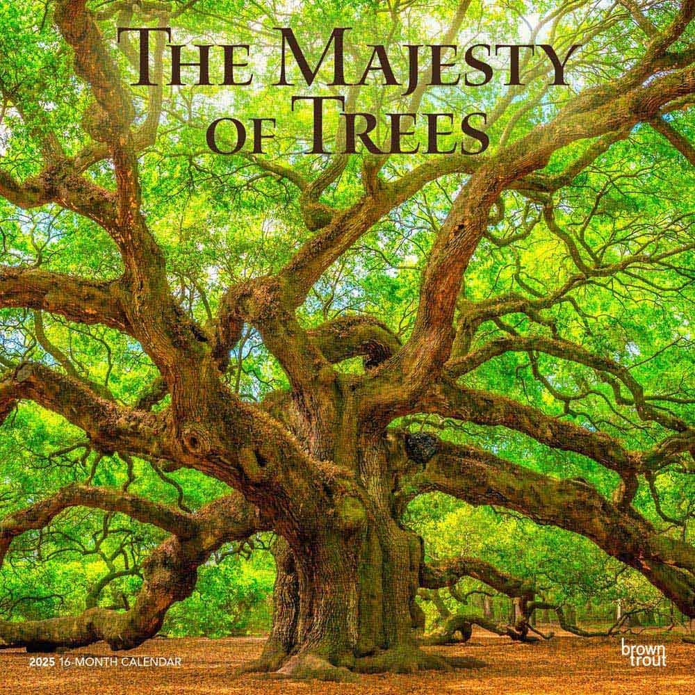 Worlds Greatest Trees 2025 Wall Calendar Main Image