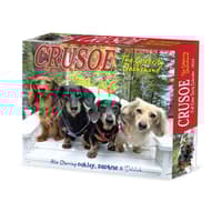 image Crusoe the Celebrity Dachshund 2026 Desk Calendar Main Image