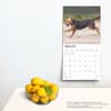 image Airedale Terriers 2025 Wall Calendar
