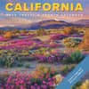 image California Travel and Events 2025 Wall Calendar Main Image