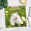 image Hamsters 2025 Wall Calendar Alt5