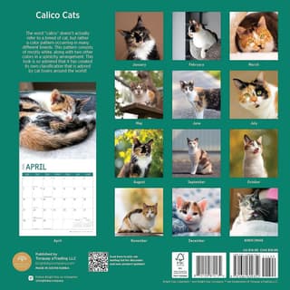 Calico Cats 2024 Wall Calendar - Calendars.com