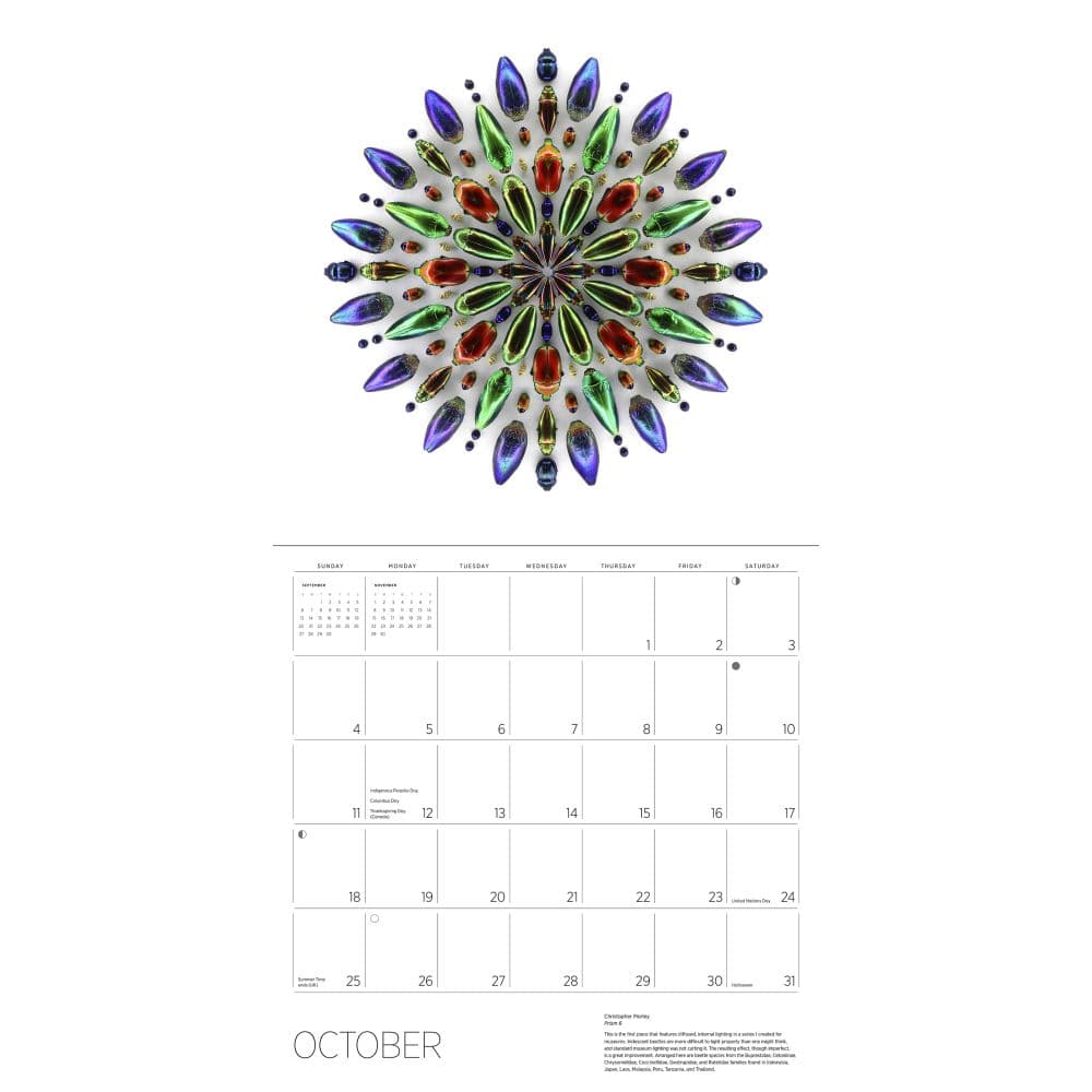 Exquisite Creatures 2026 Wall Calendar Sixth Alternate Image