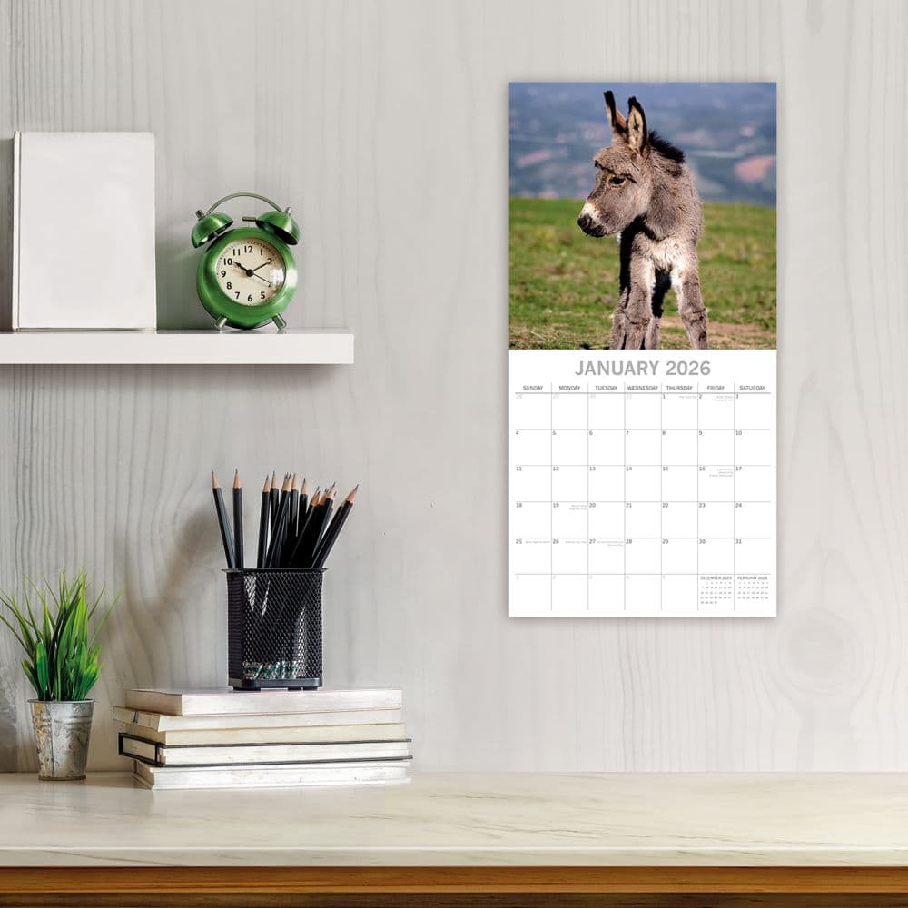 Donkeys 2026 Wall Calendar Second Alternate Image