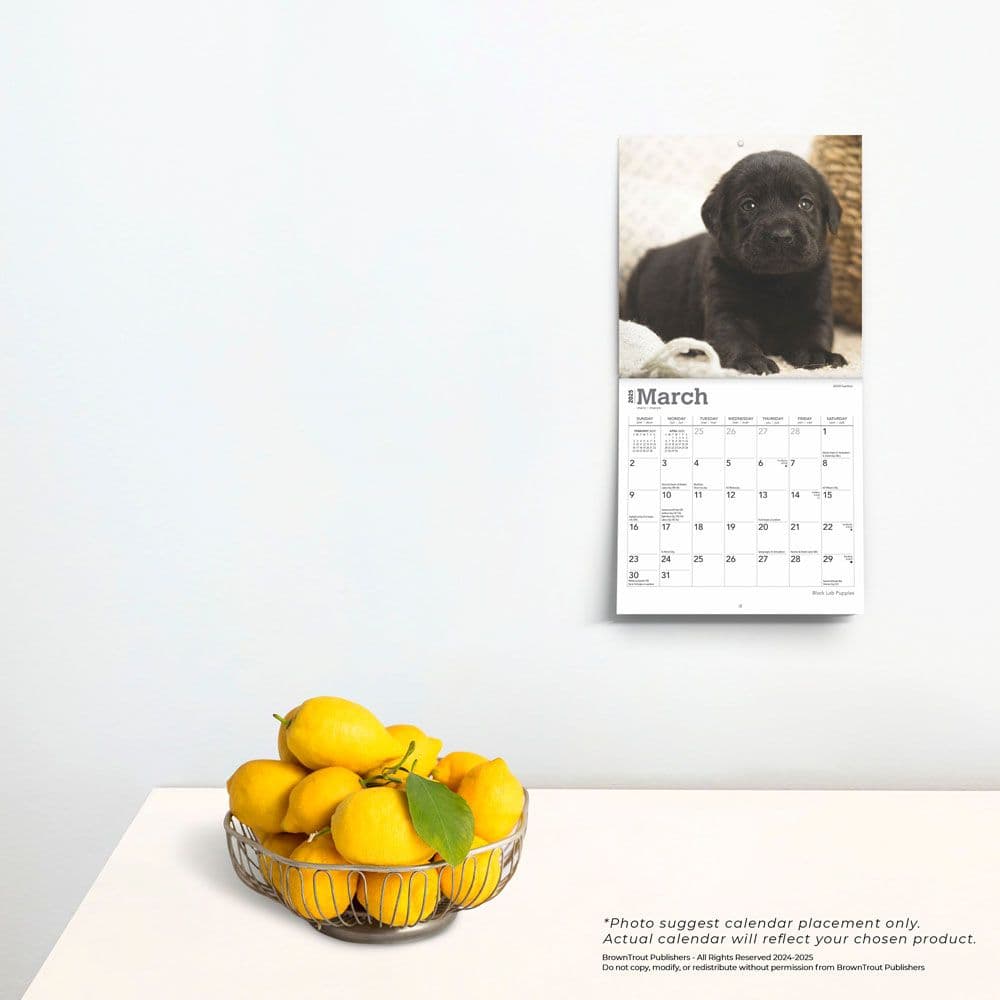 Black Lab Puppies 2025 Mini Wall Calendar Fourth Alternate Image width=&quot;1000&quot; height=&quot;1000&quot;