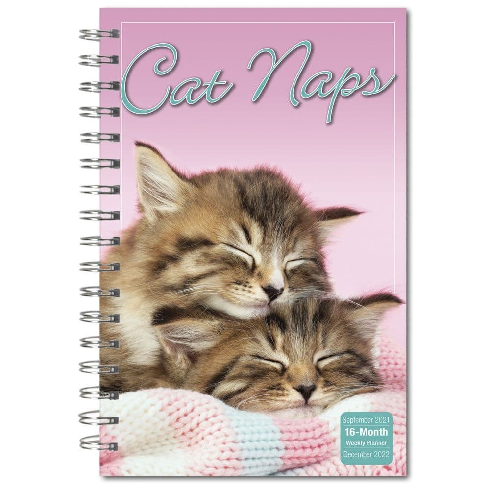 Cat Naps 2022 Planner