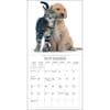 image Kittens and Friends 2025 Mini Wall Calendar Third Alternate Image width="1000" height="1000"