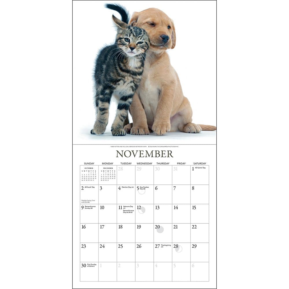 Kittens and Friends 2025 Mini Wall Calendar Third Alternate Image width="1000" height="1000"