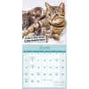 image Cat Shaming 2026 Wall Calendar Third Alternate Image