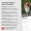 image Collies 2024 Wall Calendar Fourth Alternate Image width=&quot;1000&quot; height=&quot;1000&quot;