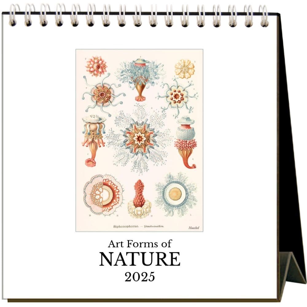 Art Forms of Nature 2025 Easel Desk Calendar Main Image