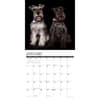 image Just Schnauzers 2025 Wall Calendar