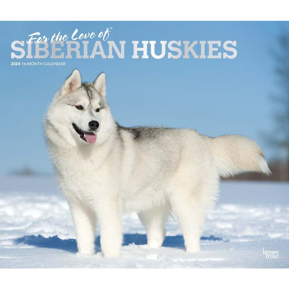 Siberian Huskies Deluxe 2024 Wall Calendar Main Product Image width=&quot;1000&quot; height=&quot;1000&quot;