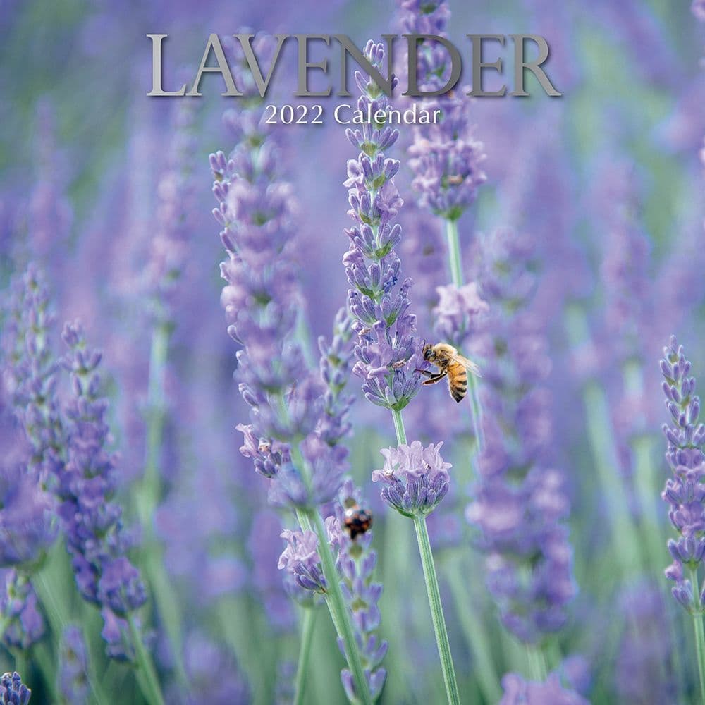 Lavender 2022 Wall Calendar