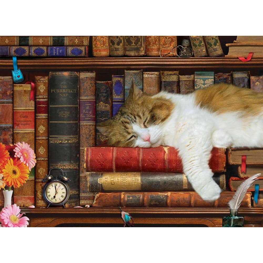Cat Nap 500pc Puzzle Alternate Image 1