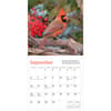 image Audubon Cardinals 2026 Mini Wall Calendar Third Alternate Image