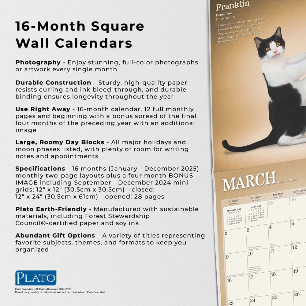 Yoga Cats Together by Plato 2025 Wall Calendar Fourth  Alternate Image width=&quot;1000&quot; height=&quot;1000&quot;