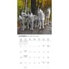 image Wolves Special Value 2026 Wall Calendar Fourth Alternate Image