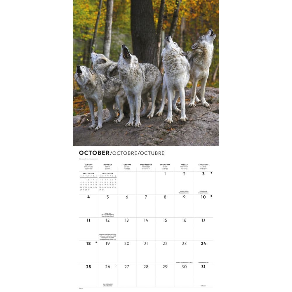 Wolves Special Value 2026 Wall Calendar Fourth Alternate Image
