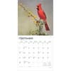 image Cardinals 2025 Wall Calendar