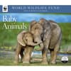 image baby-animals-wwf-2024-wall-calendar-main