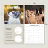 image Border Collies 2025 Wall Calendar Alt3