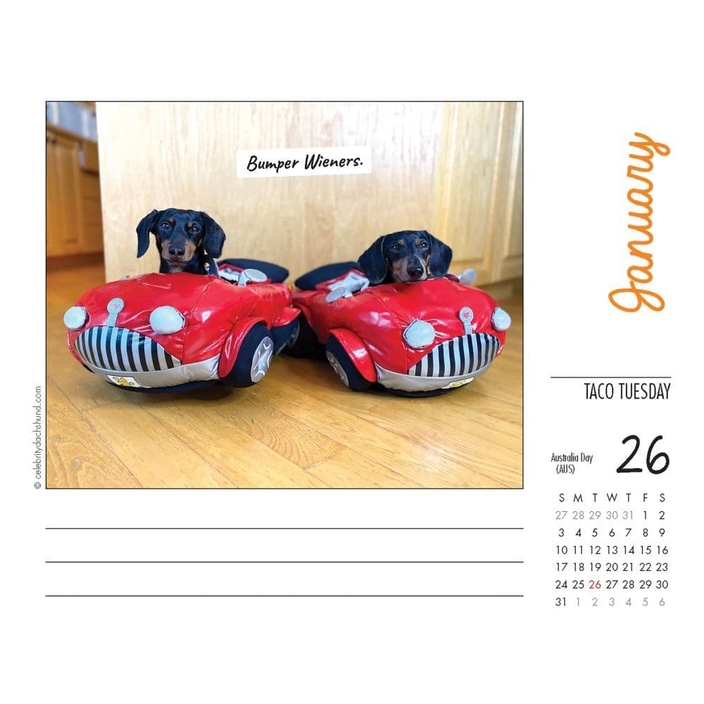 Crusoe the Celebrity Dachshund Desk Calendar