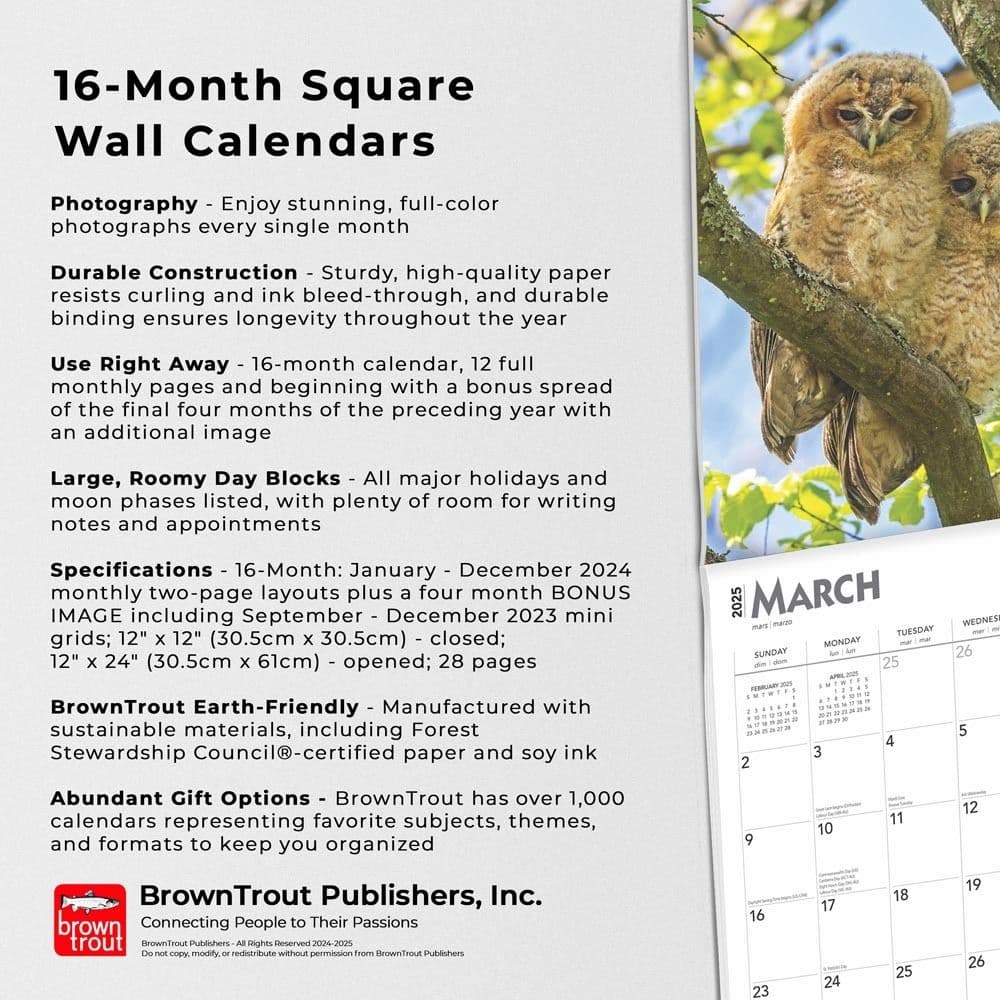 Owls 2025 Wall Calendar Fifth Alternate Image