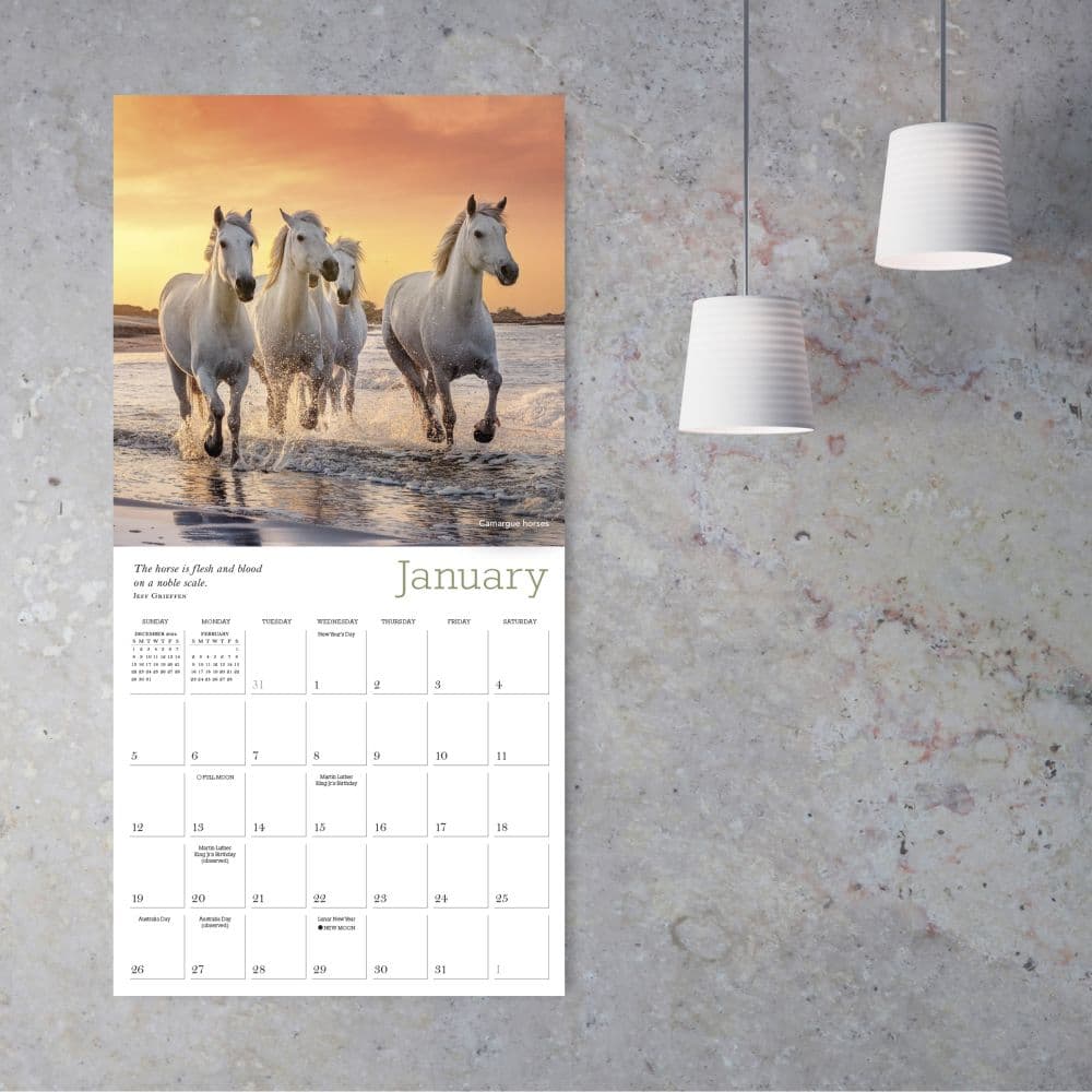 The Majestic Horse 2025 Wall Calendar