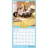 image Avanti Cranky Kitties 2024 Wall Calendar Second Alternate Image width=&quot;1000&quot; height=&quot;1000&quot;